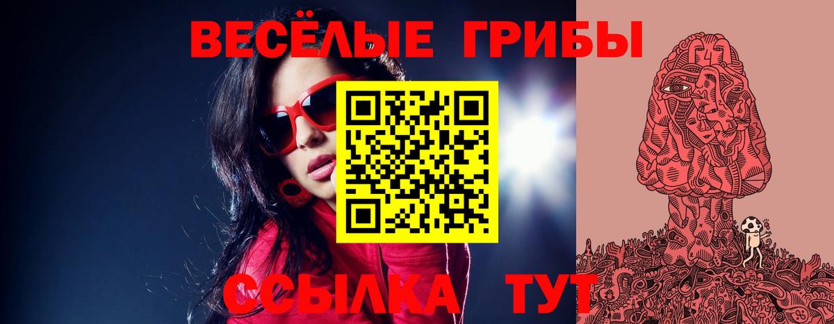 Галлюциногенные грибы Psilocybe Оренбург